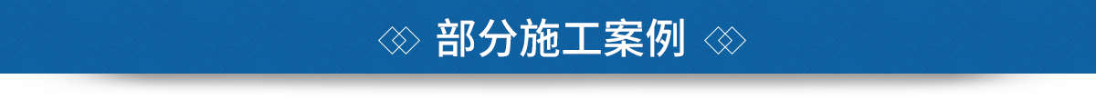 行業典范 項目案例